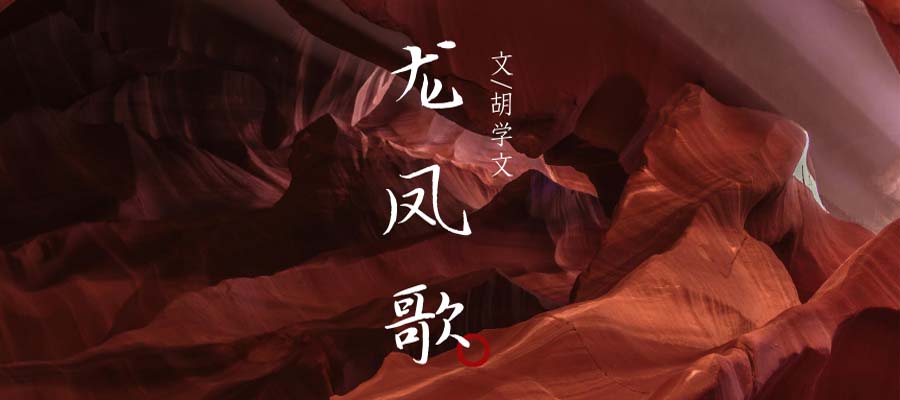 胡学文：龙凤歌（选读）